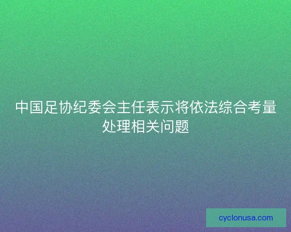 中国足协纪委会主任表示将依法综合考量处理相关问题