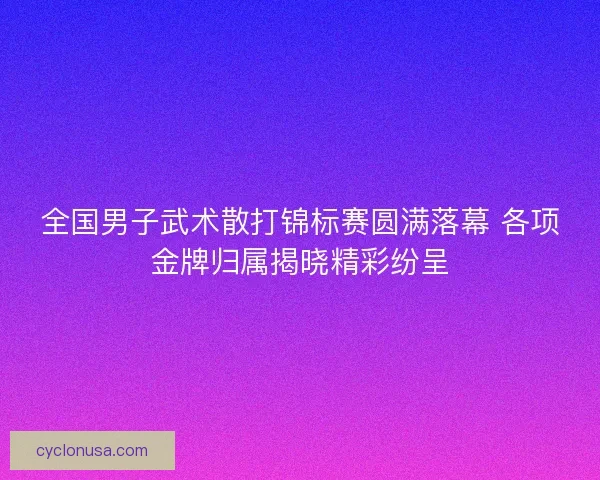 全国男子武术散打锦标赛圆满落幕 各项金牌归属揭晓精彩纷呈
