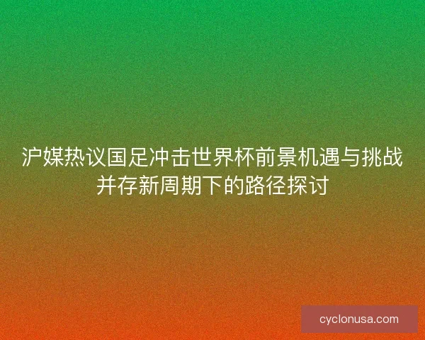 沪媒热议国足冲击世界杯前景机遇与挑战并存新周期下的路径探讨