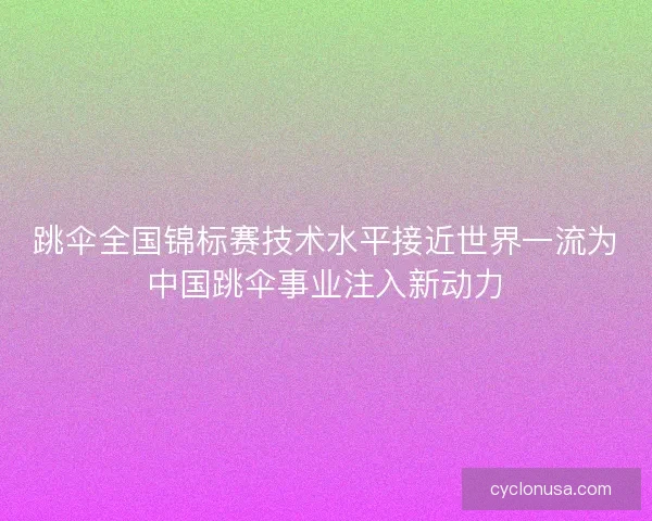 跳伞全国锦标赛技术水平接近世界一流为中国跳伞事业注入新动力